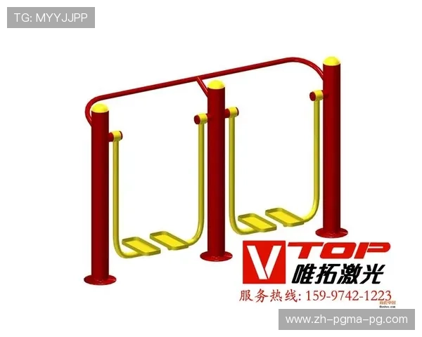 龙门架健身器材的功能介绍及训练技巧