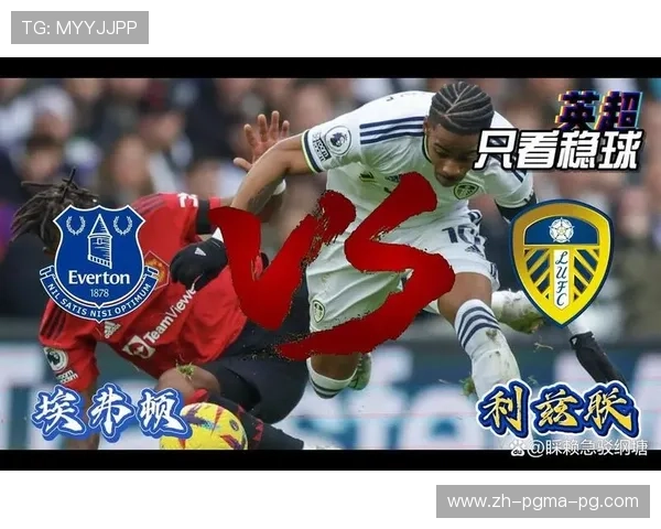 英超次级联赛球队简介：英冠潜力股与升班马前瞻